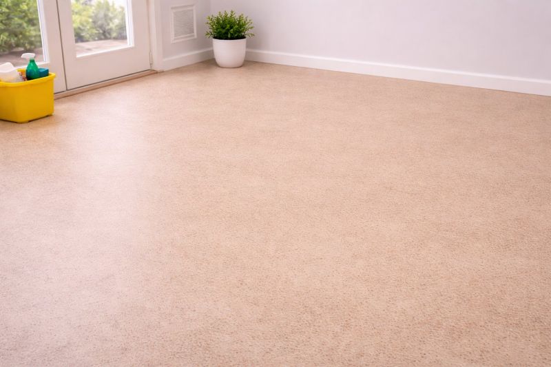Sheet Linoleum Installation in Port Richey, FL
